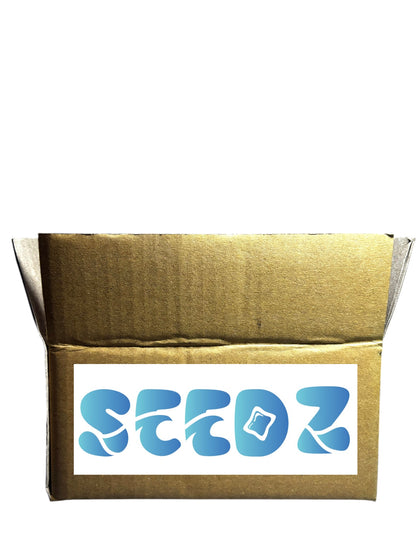 SEEDZ 5-in-1 Dissolvable Magic Laundry Pods for 30 washes:Bioenzymes Infused,Tough Stain Fighter for Top & Front Load with Floral Aroma,1 Pod = 1 Wash for 5-7kg